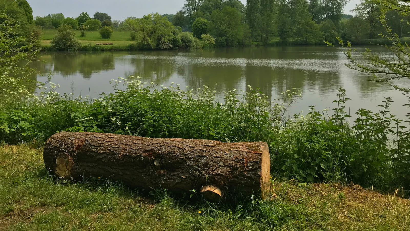 Lac 
