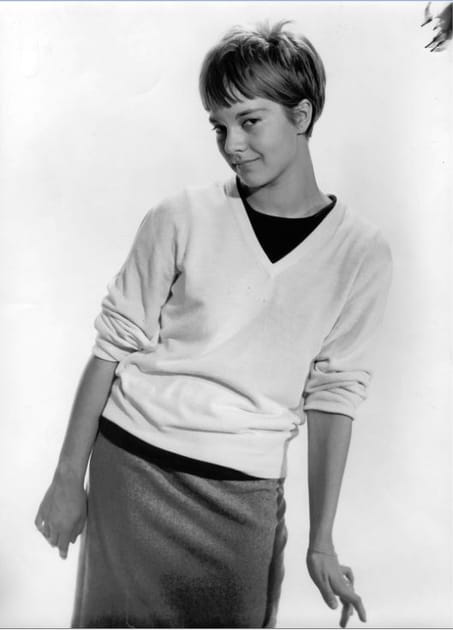 Sylvie Vartan en 1991