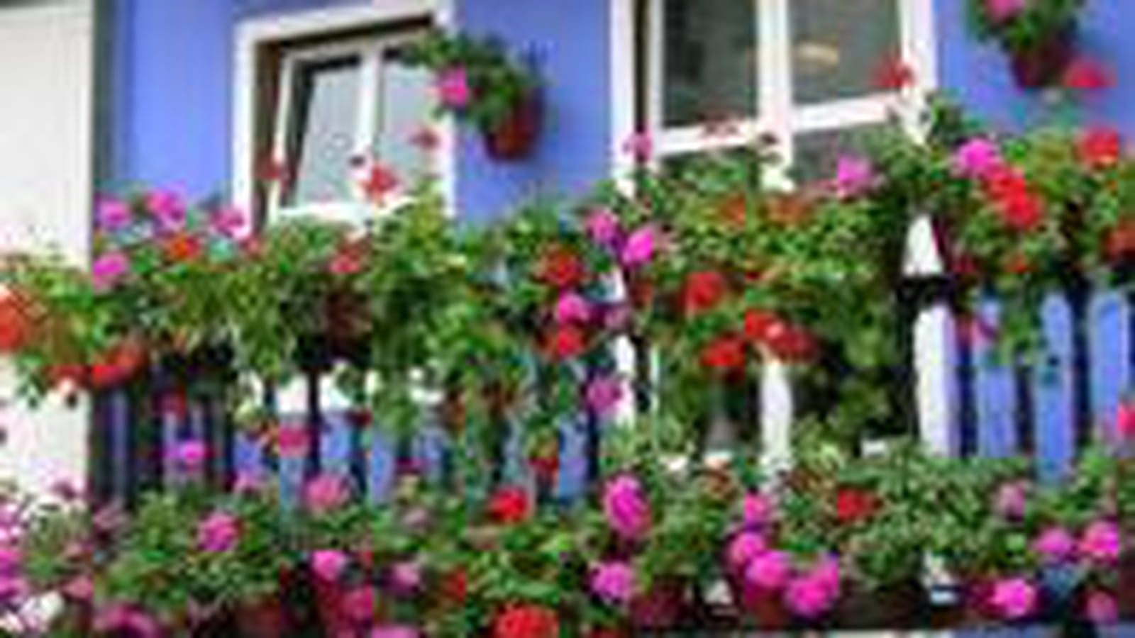 Couleurs