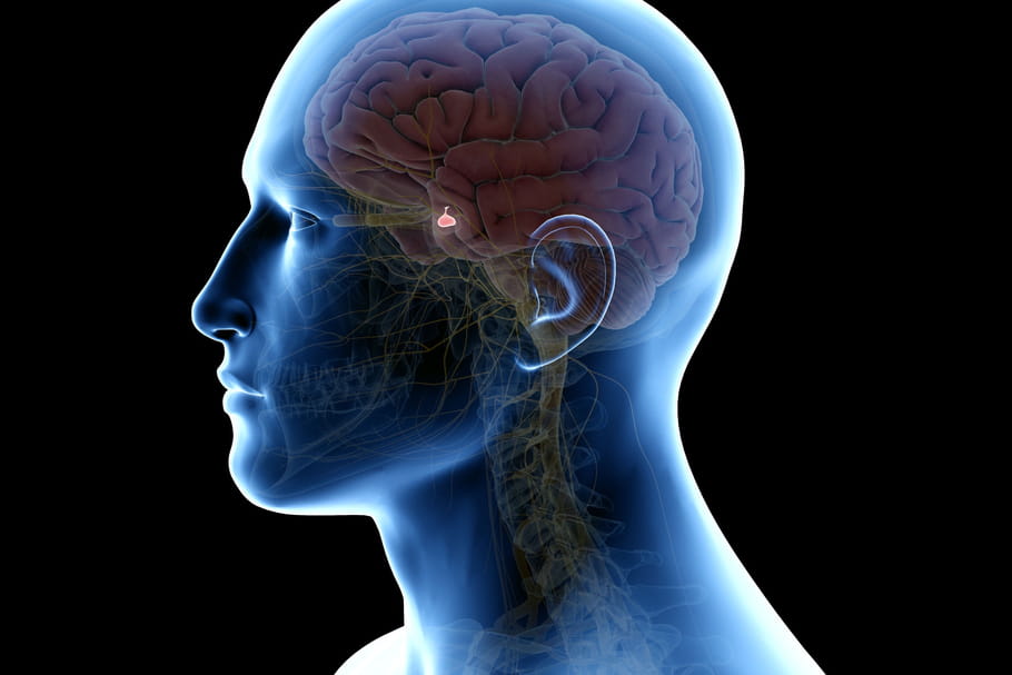 Cancer de l'hypophyse : symptômes, cause, traitement