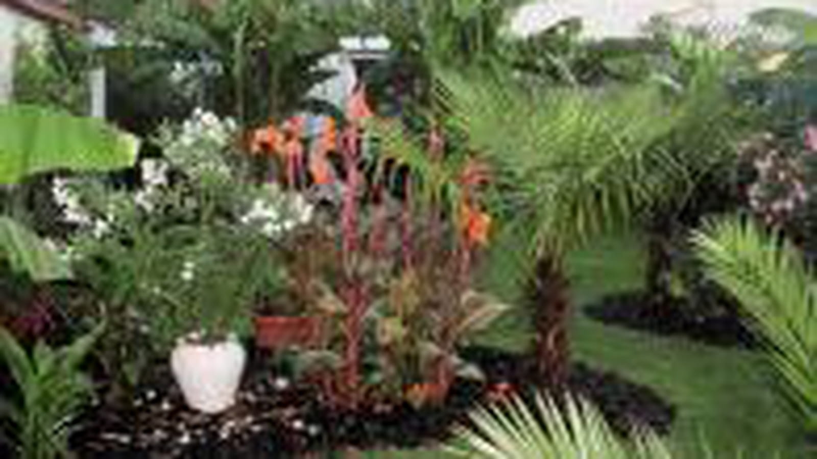 Un jardin exotique
