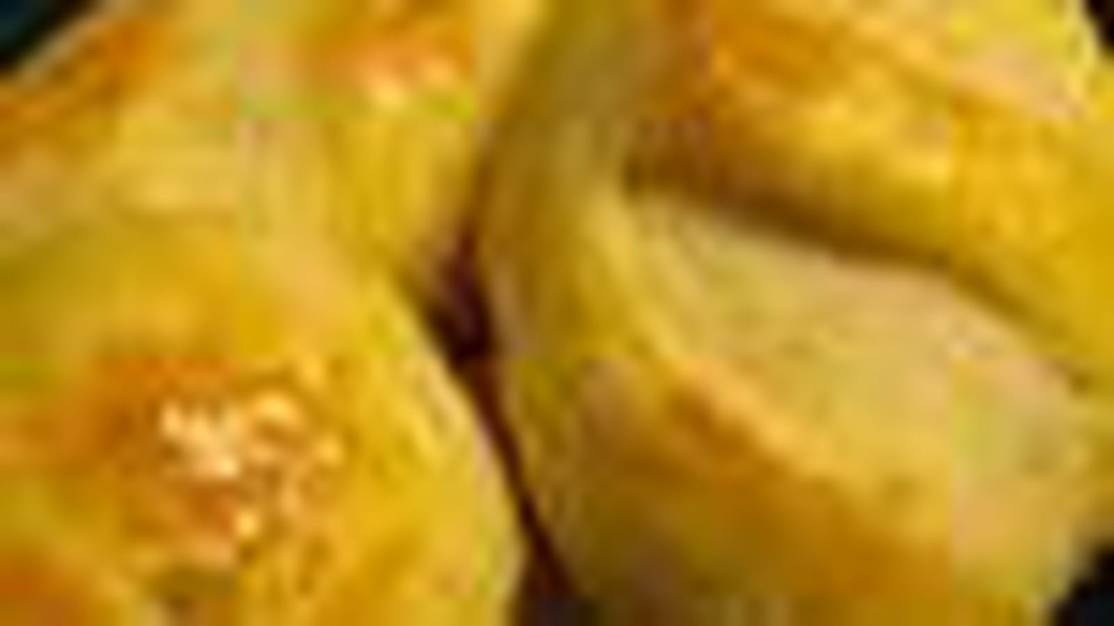 Pain viennois
