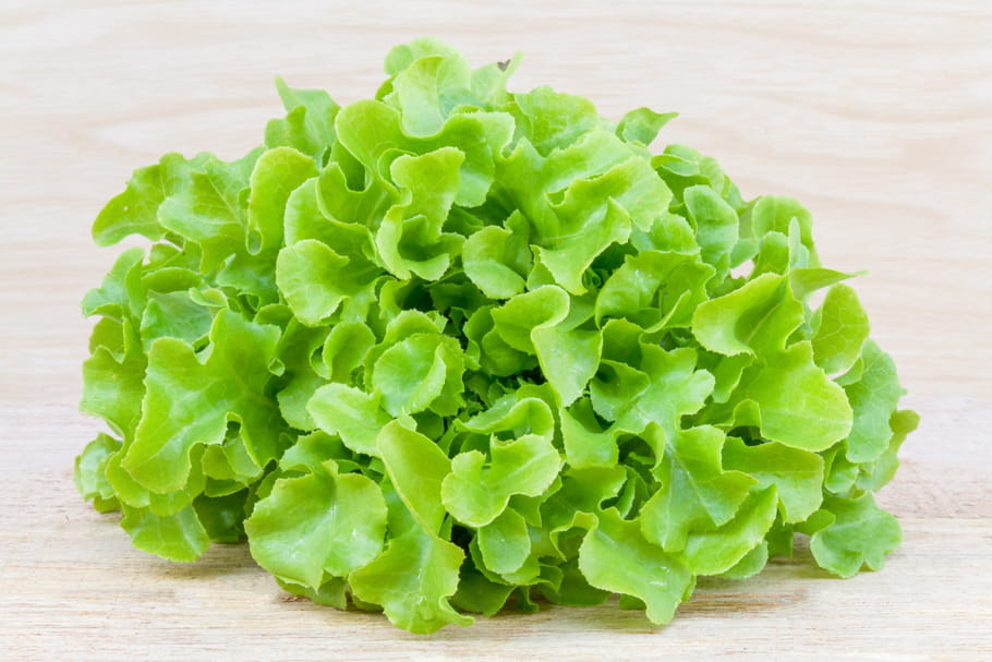 Comment garder une belle salade plusieurs jours ?