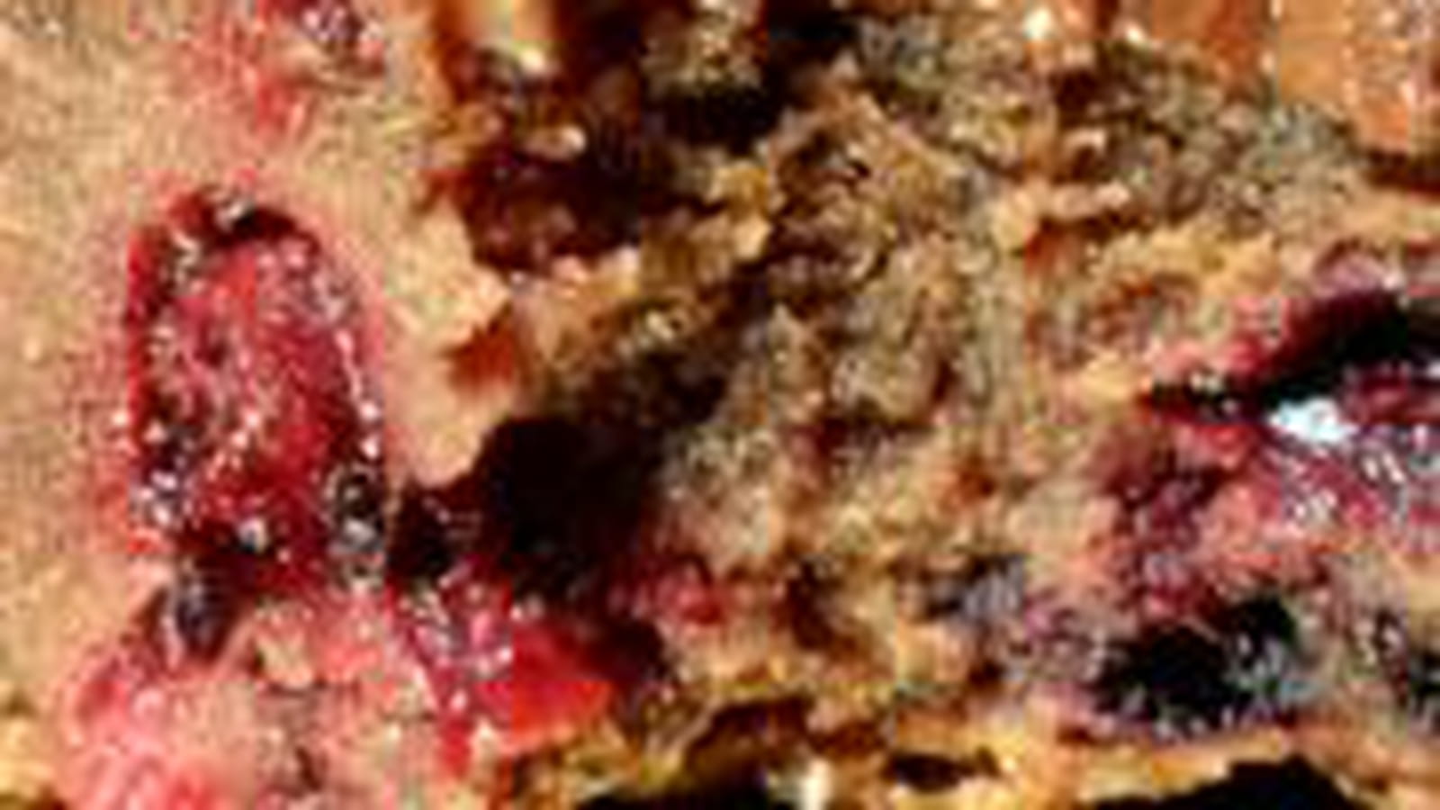 Brownies aux fruits rouges
