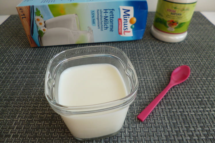 Recette Yaourts maison sans lactose avec stévia crystal