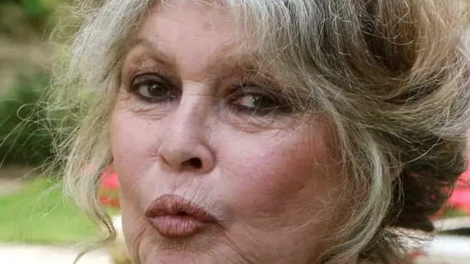 Brigitte Bardot