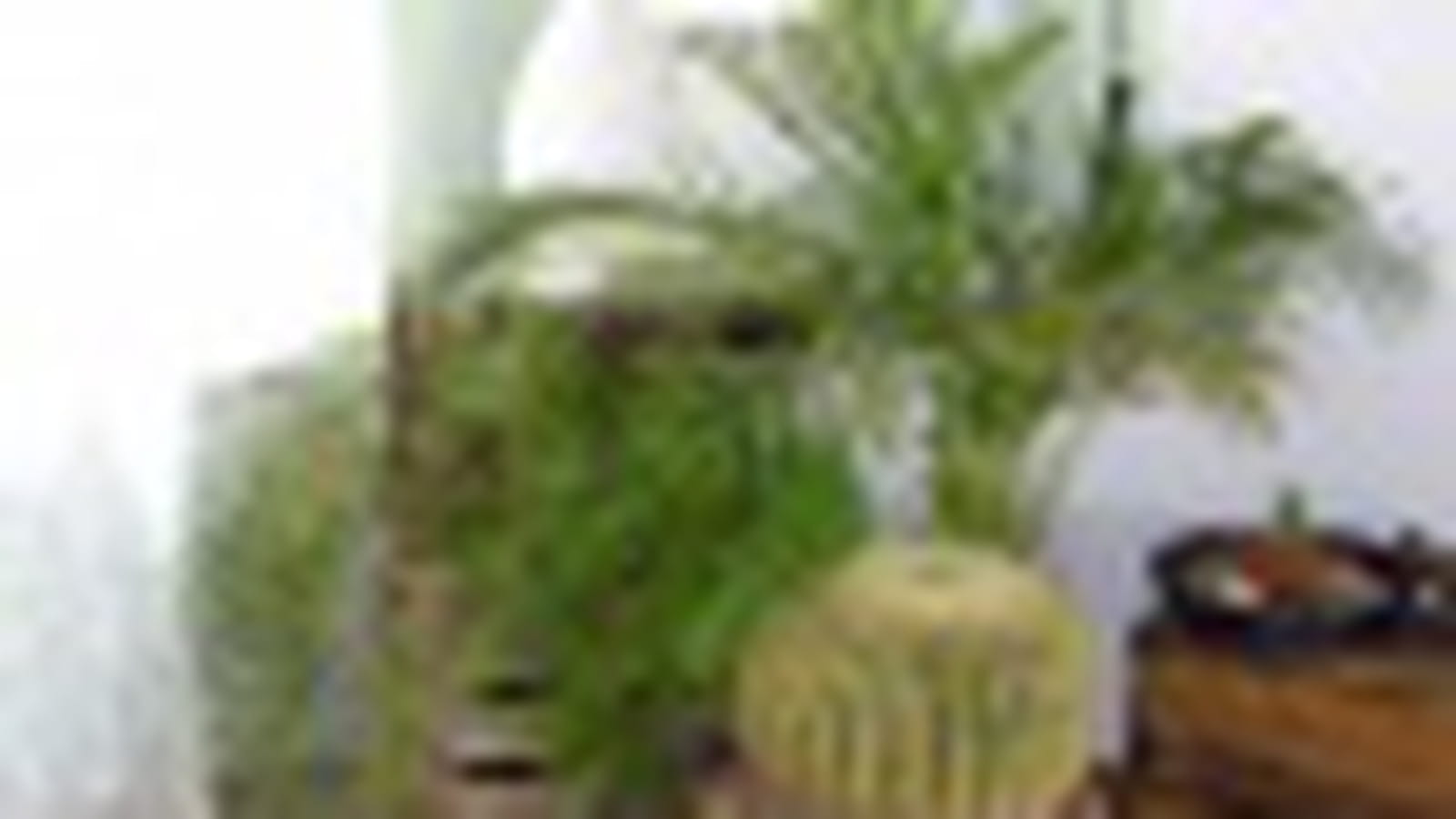 Verdure