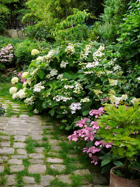 La mixed-border à l'anglaise