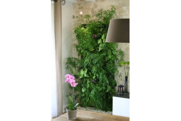 L'élégance d'un mur végétal