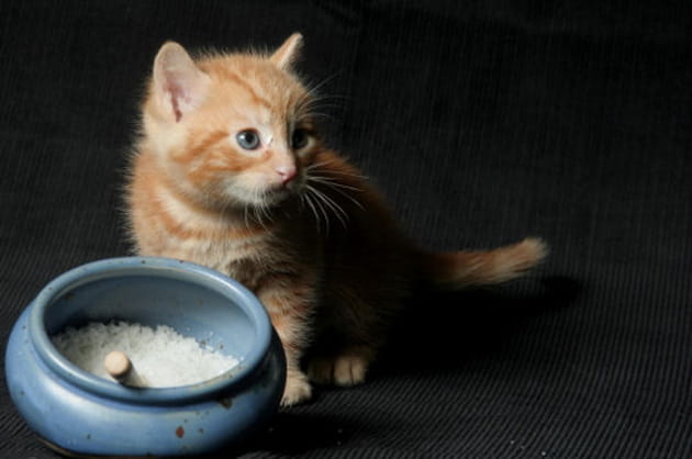 Digne d'un tableau de Vermeer