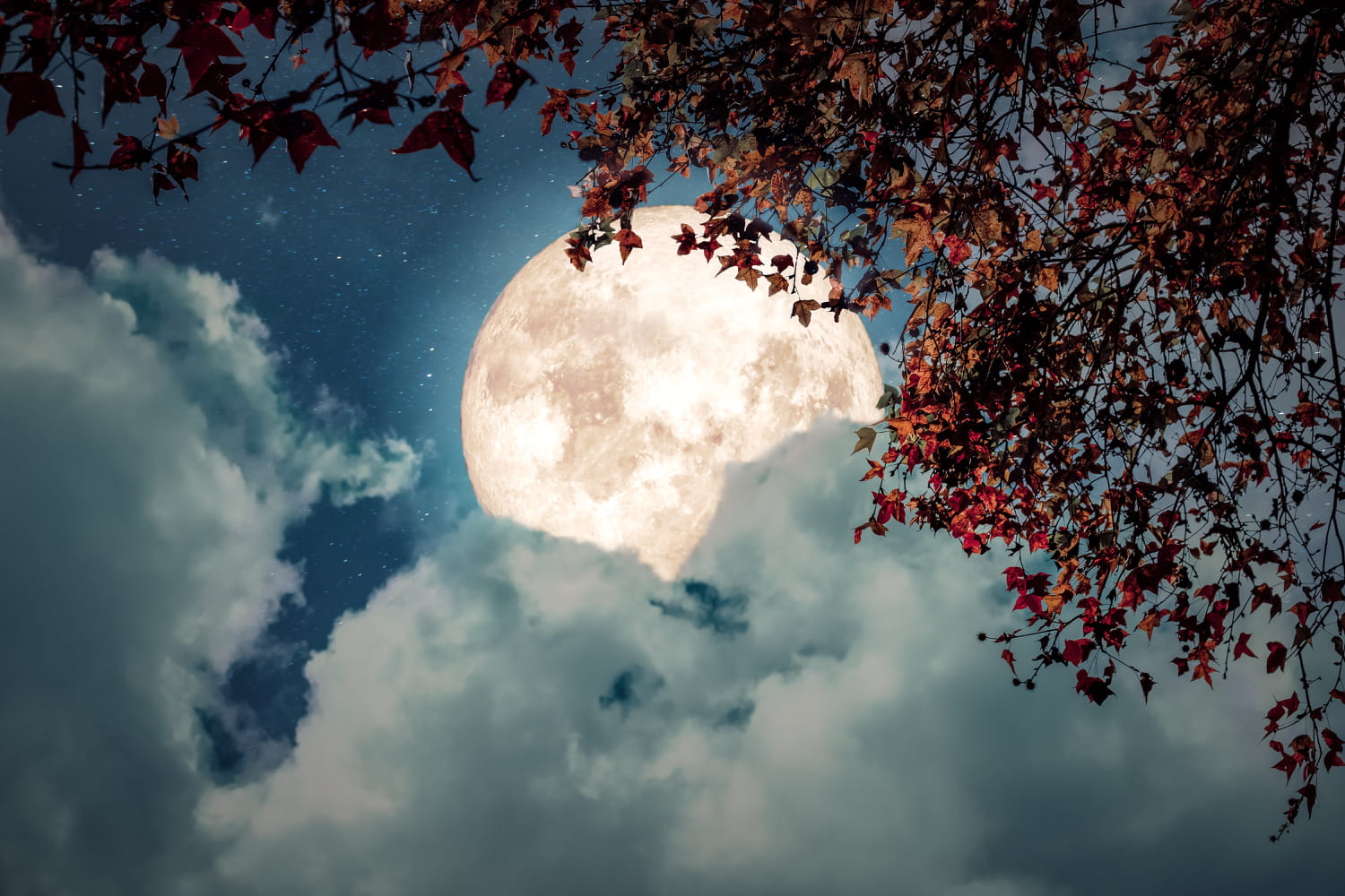 Pleine lune octobre 2021 : quel effet positif a-t-elle sur les signes astro ?