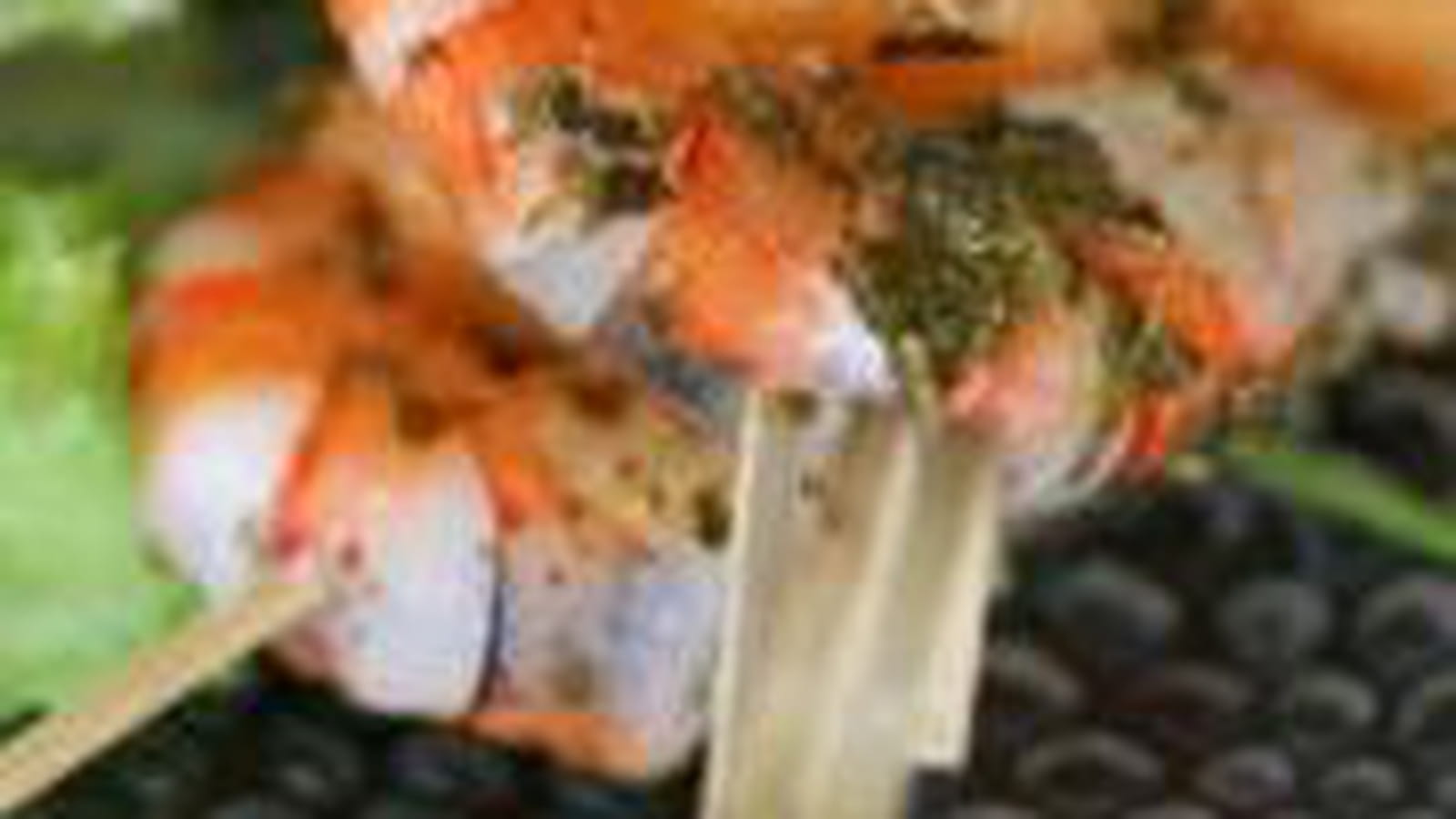 Brochettes de crevettes et melon au pesto 