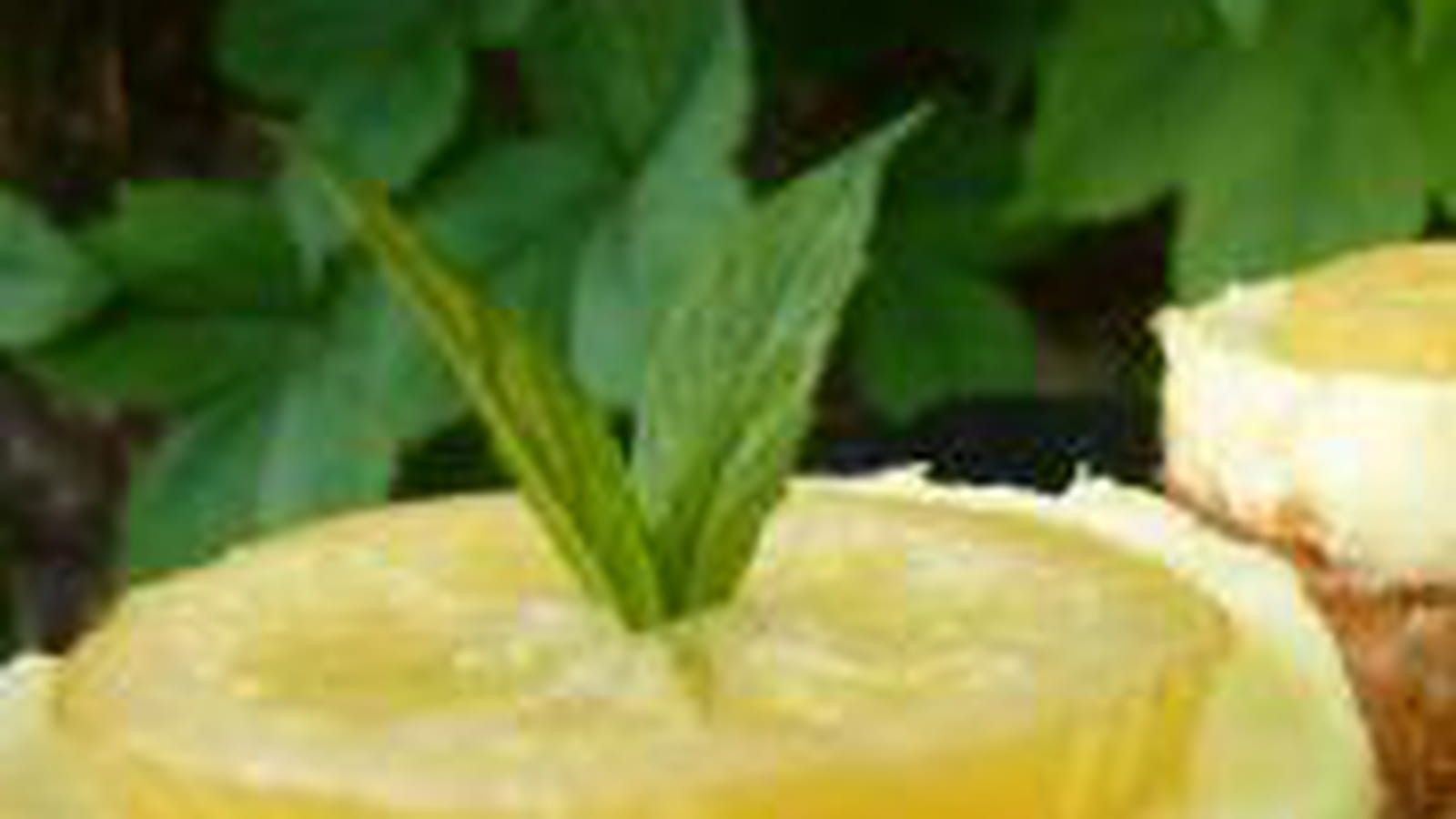 Sablés au citron