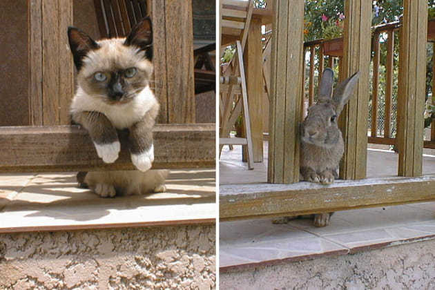 Leur pose préférée