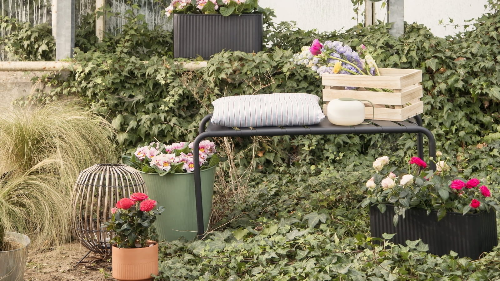 Collection jardin Sostrene Grene