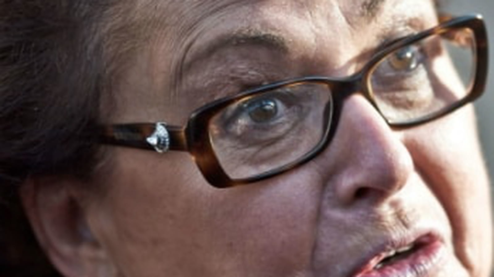 Christine Boutin