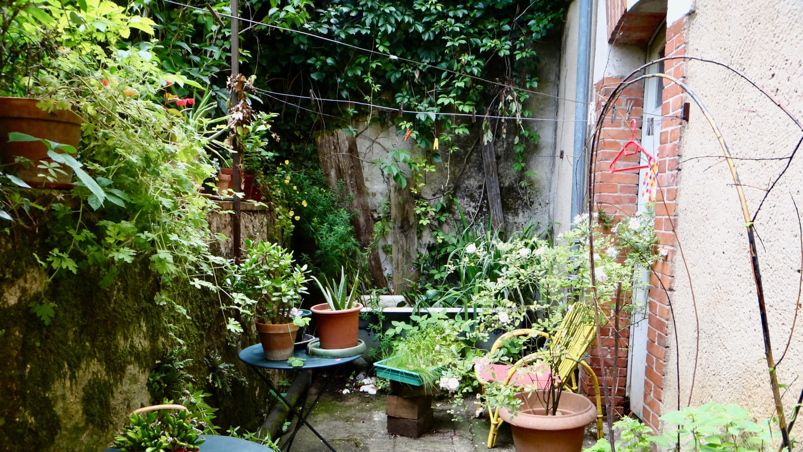 Jardin bohème