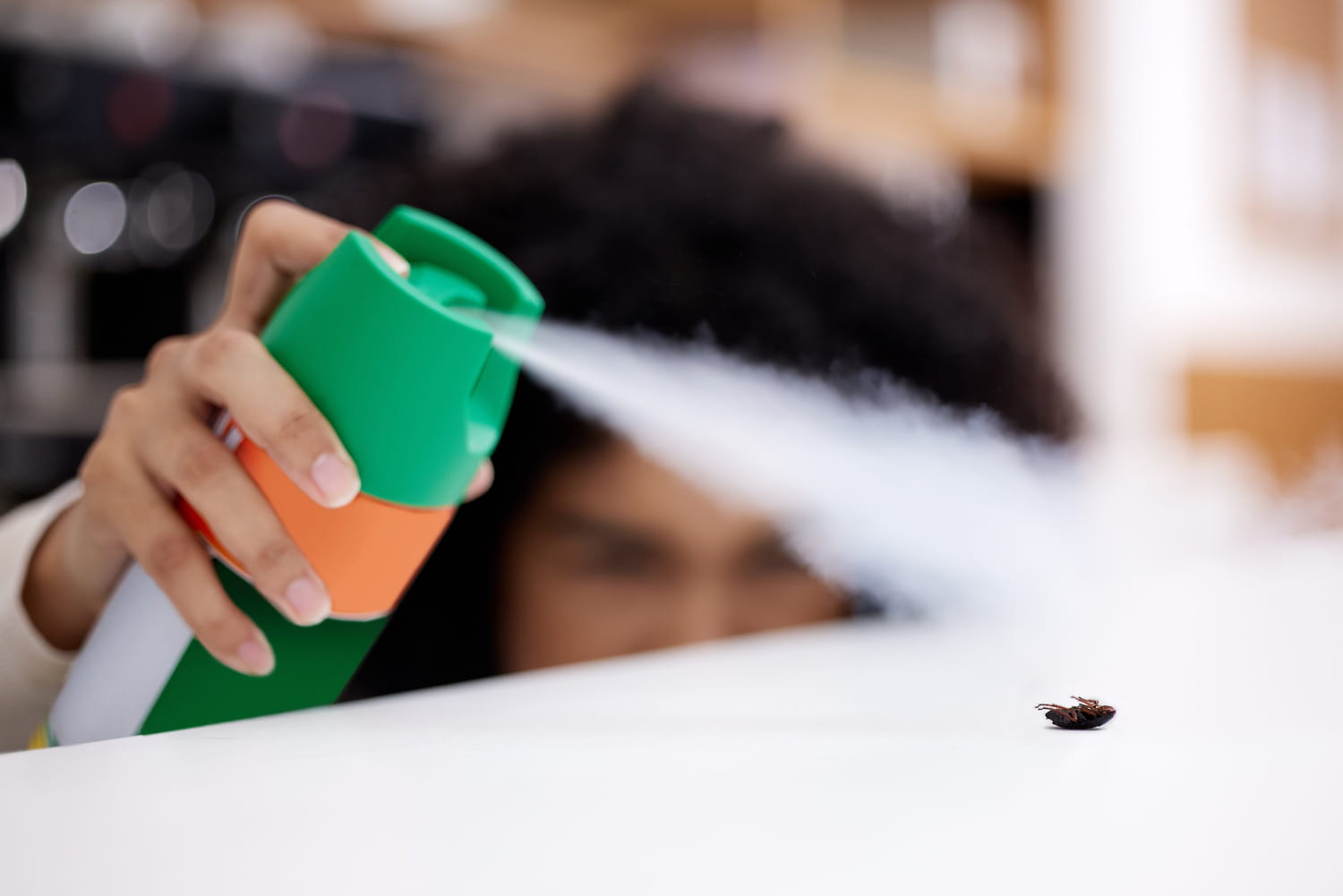 no one should use this insecticide against bedbugs, it is fatal for humans