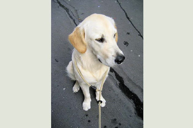 Un h&eacute;ros de tous les jours