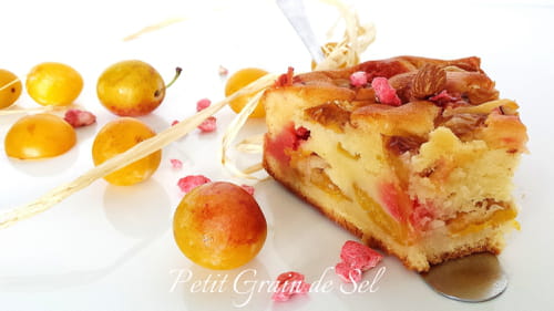 Gâteau Lyonnais aux Mirabelles
