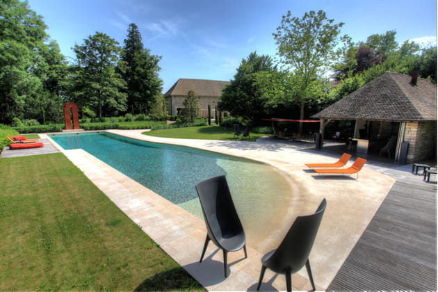 Piscine familiale de forme libre : trophée d'argent ex aequo