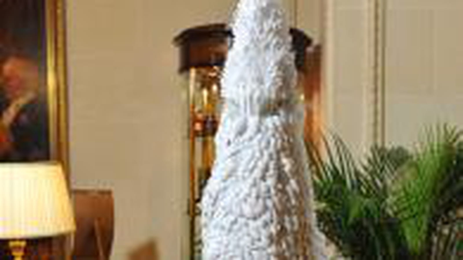 1er prix : sapin "Spoonlight"