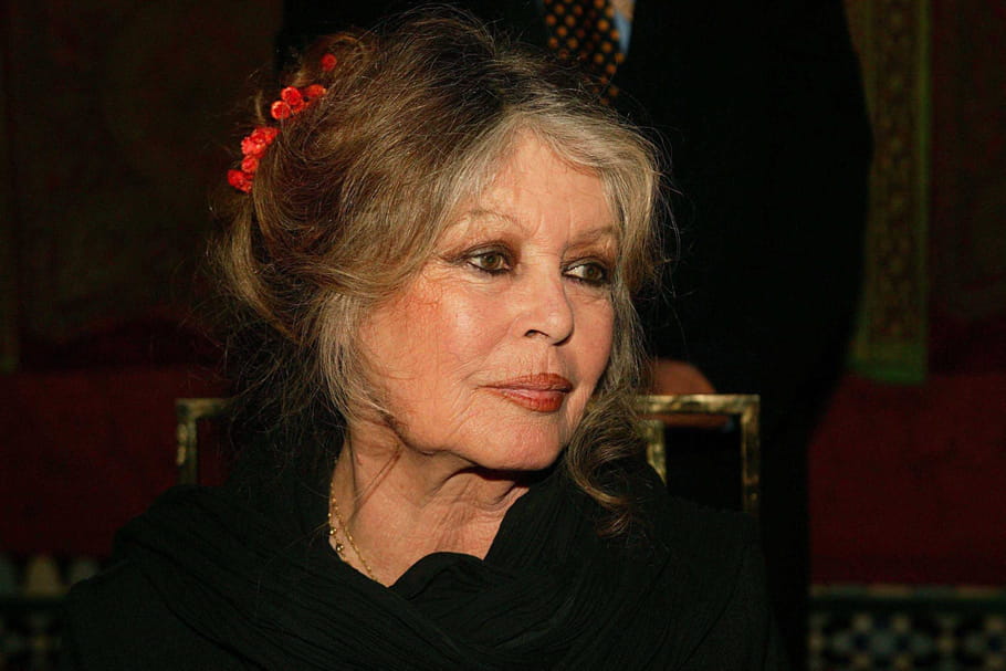 Son mari "mignon", sa sœur Mijanou, son (ex) ami Alain Delon... Brigitte Bardot balance !