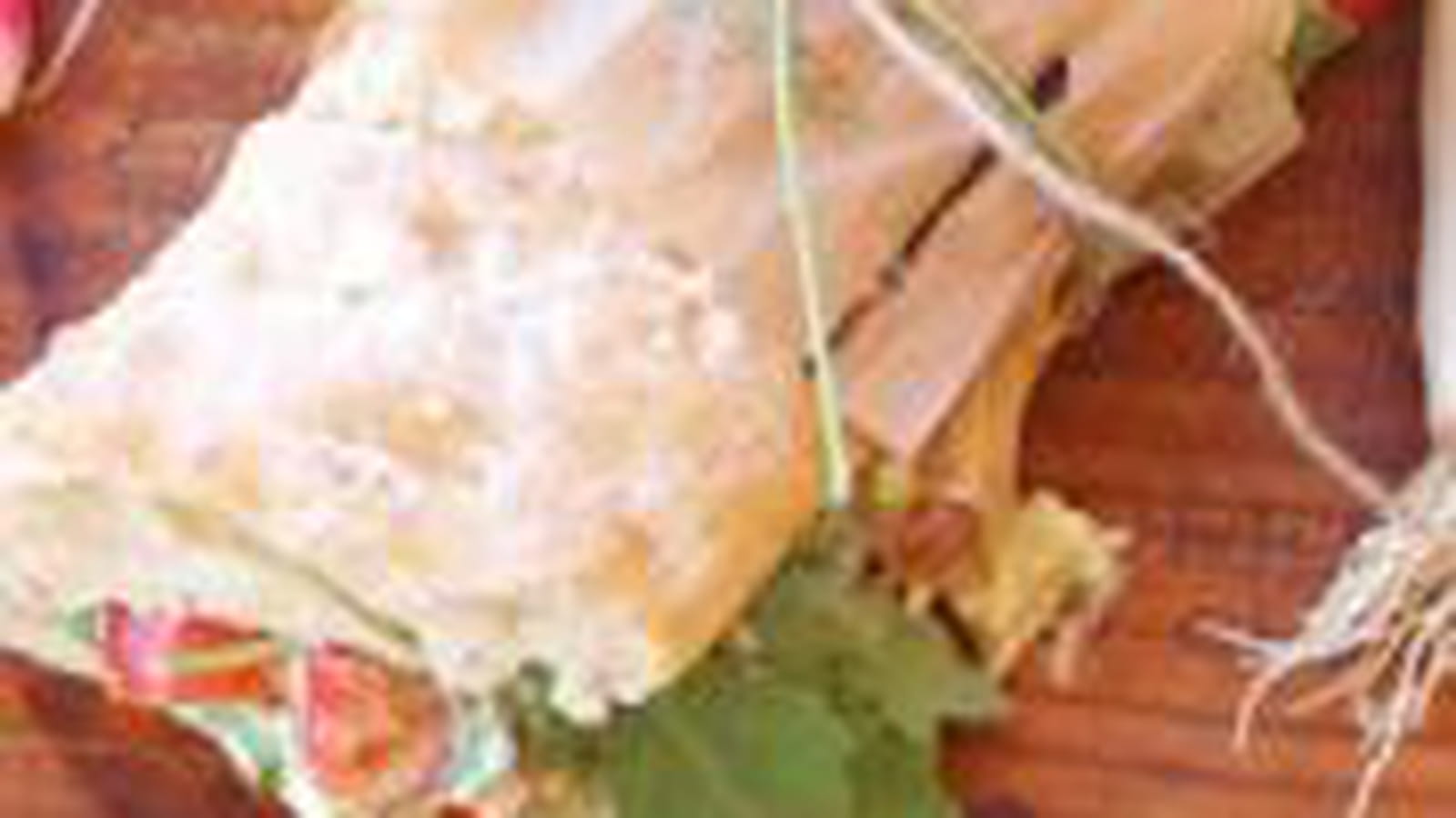 Sandwich au poulet