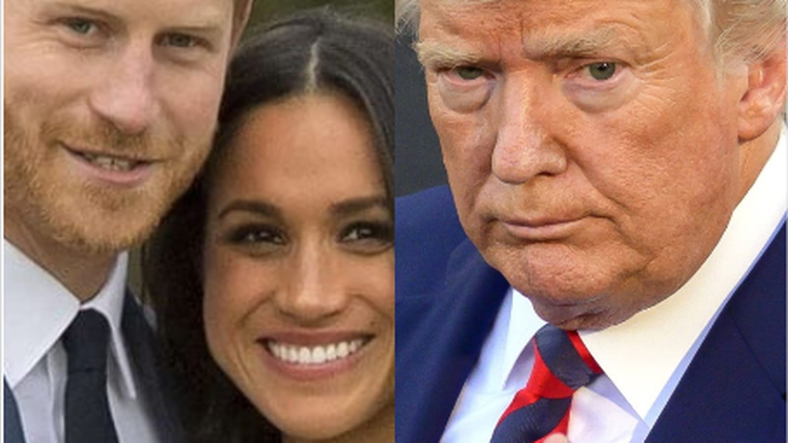 Prince Harry, Meghan Markle et Donald Trump