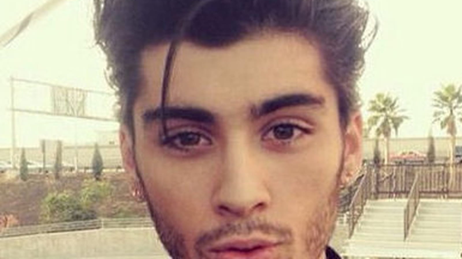 Zayn Malik  
