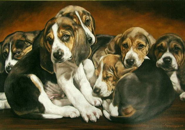 Petits tas de petits