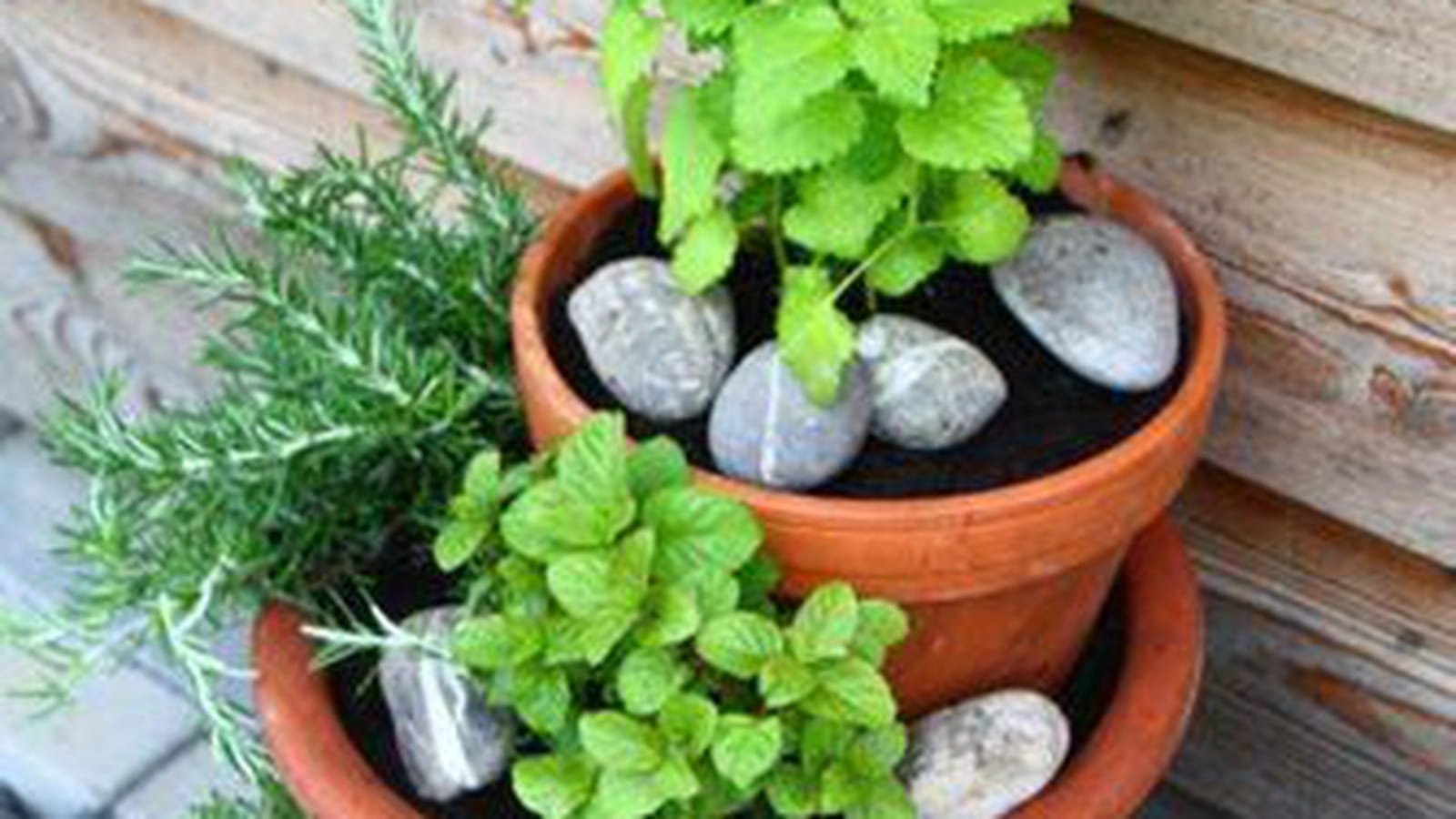 Pots gain de place