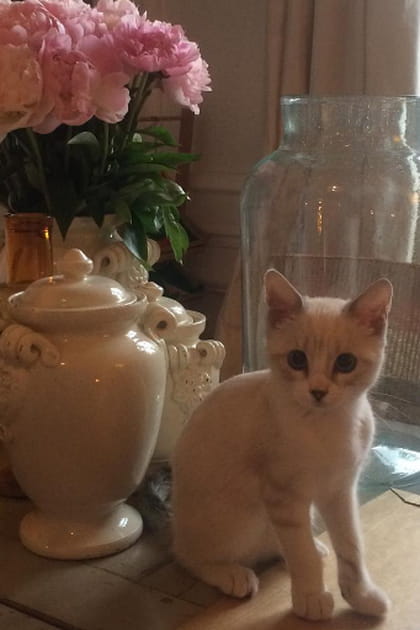 Sandrine Kiberlain et Yvonne