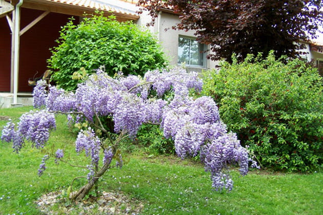Un jardin exotique et color&eacute;