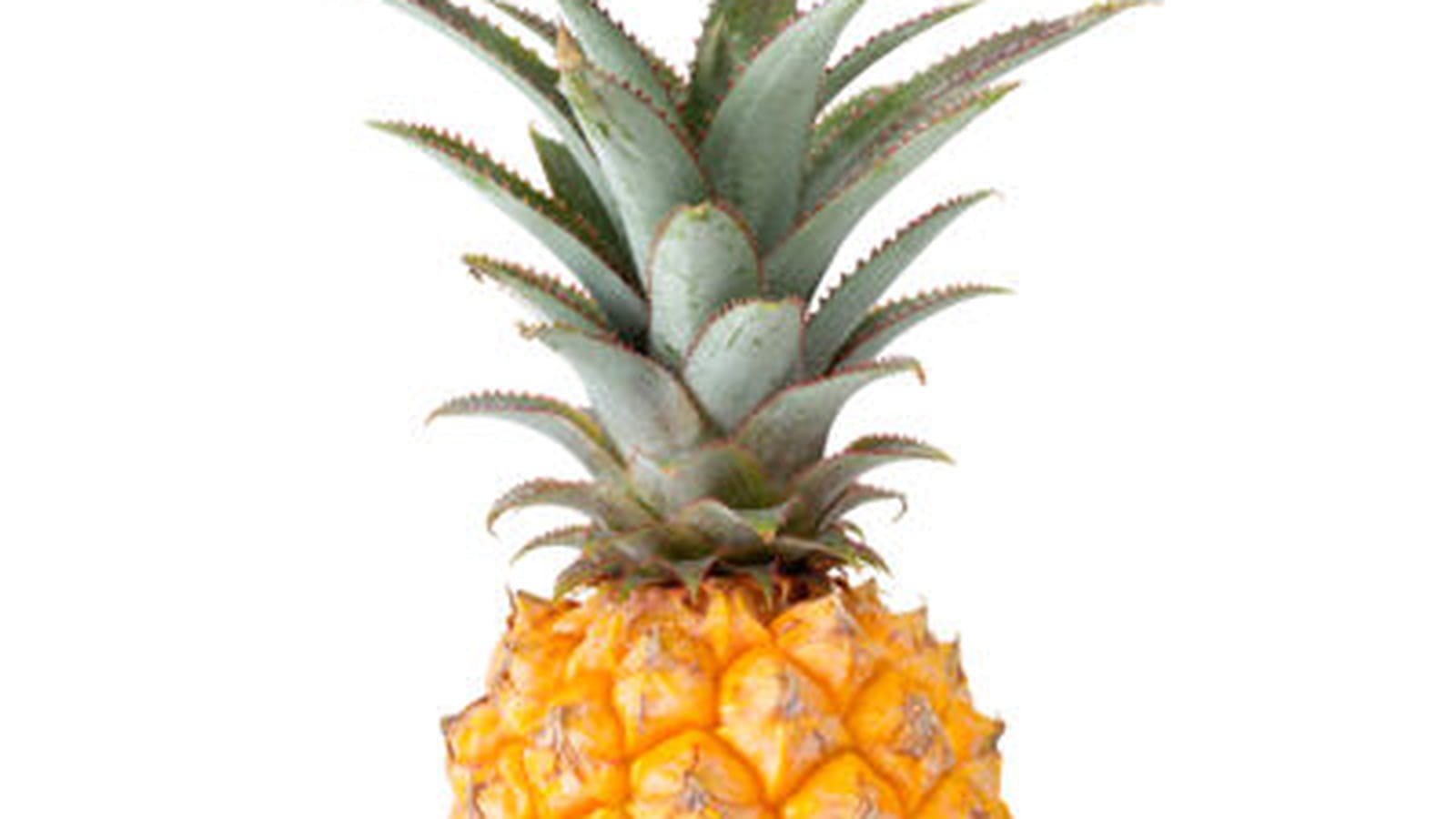 Ananas
