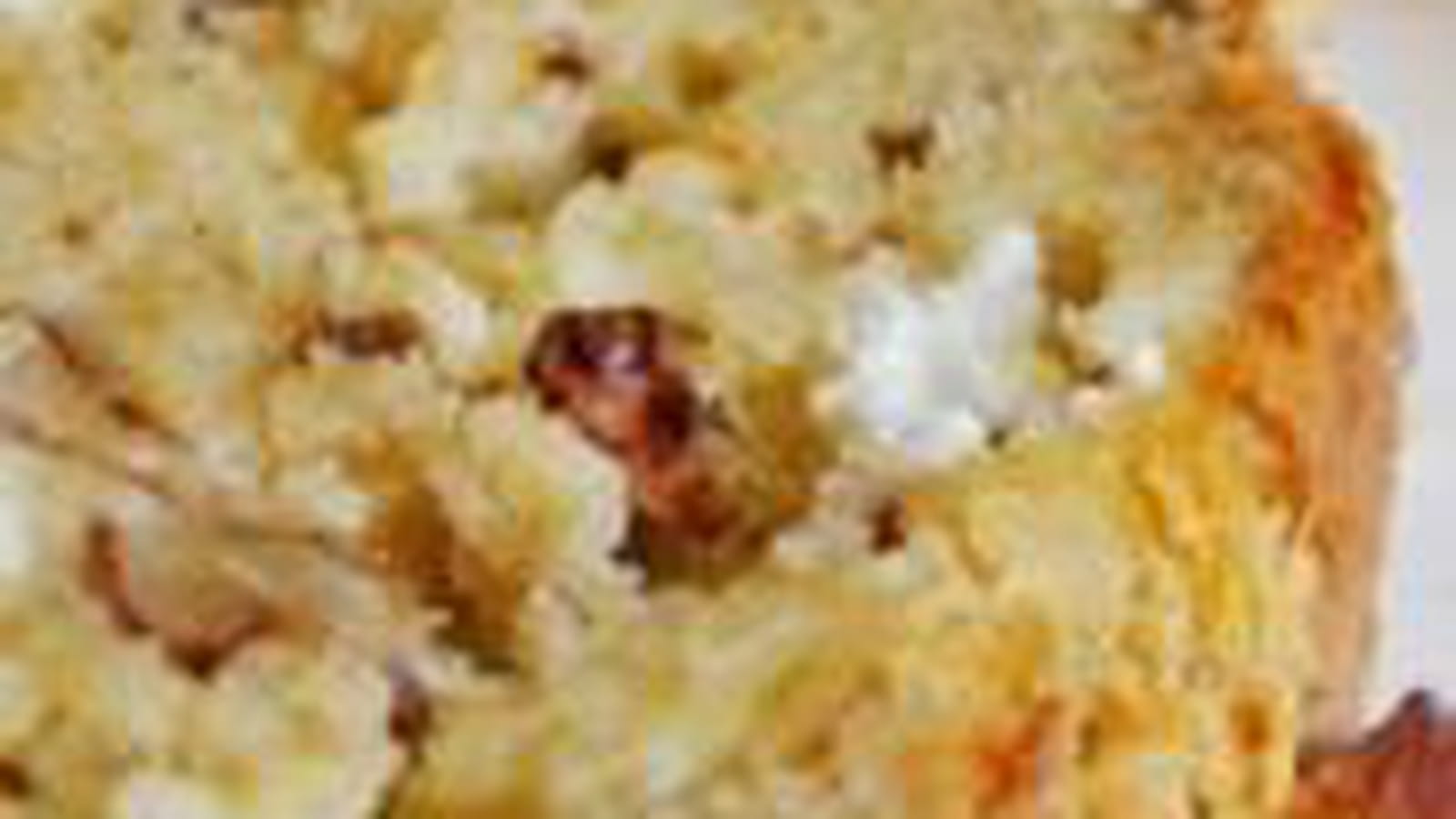 Cake chèvre, noix oignon