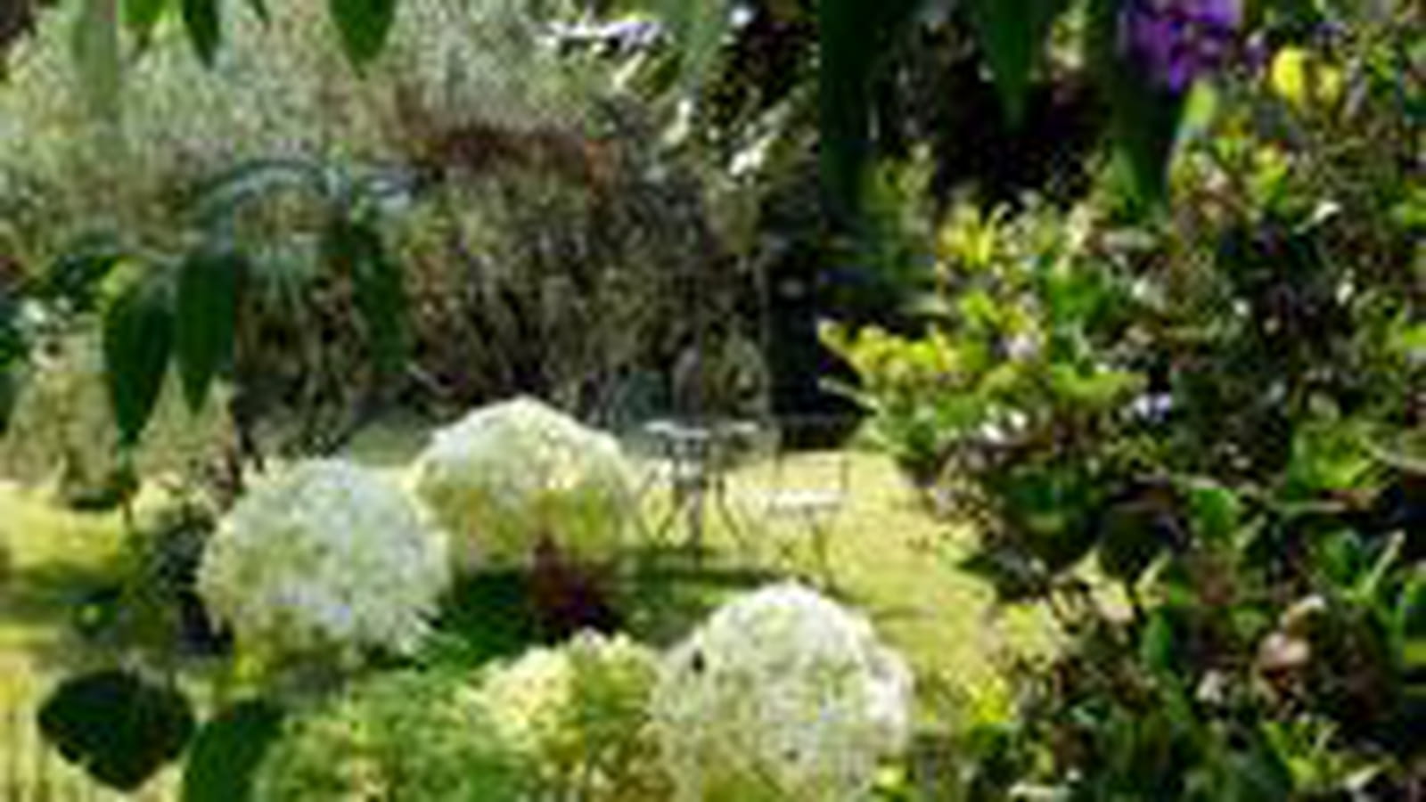 Dans le Vaucluse