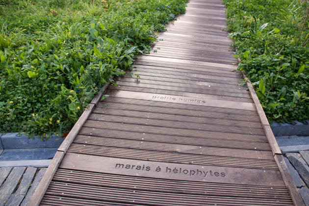 Une porte sur le monde sauvage