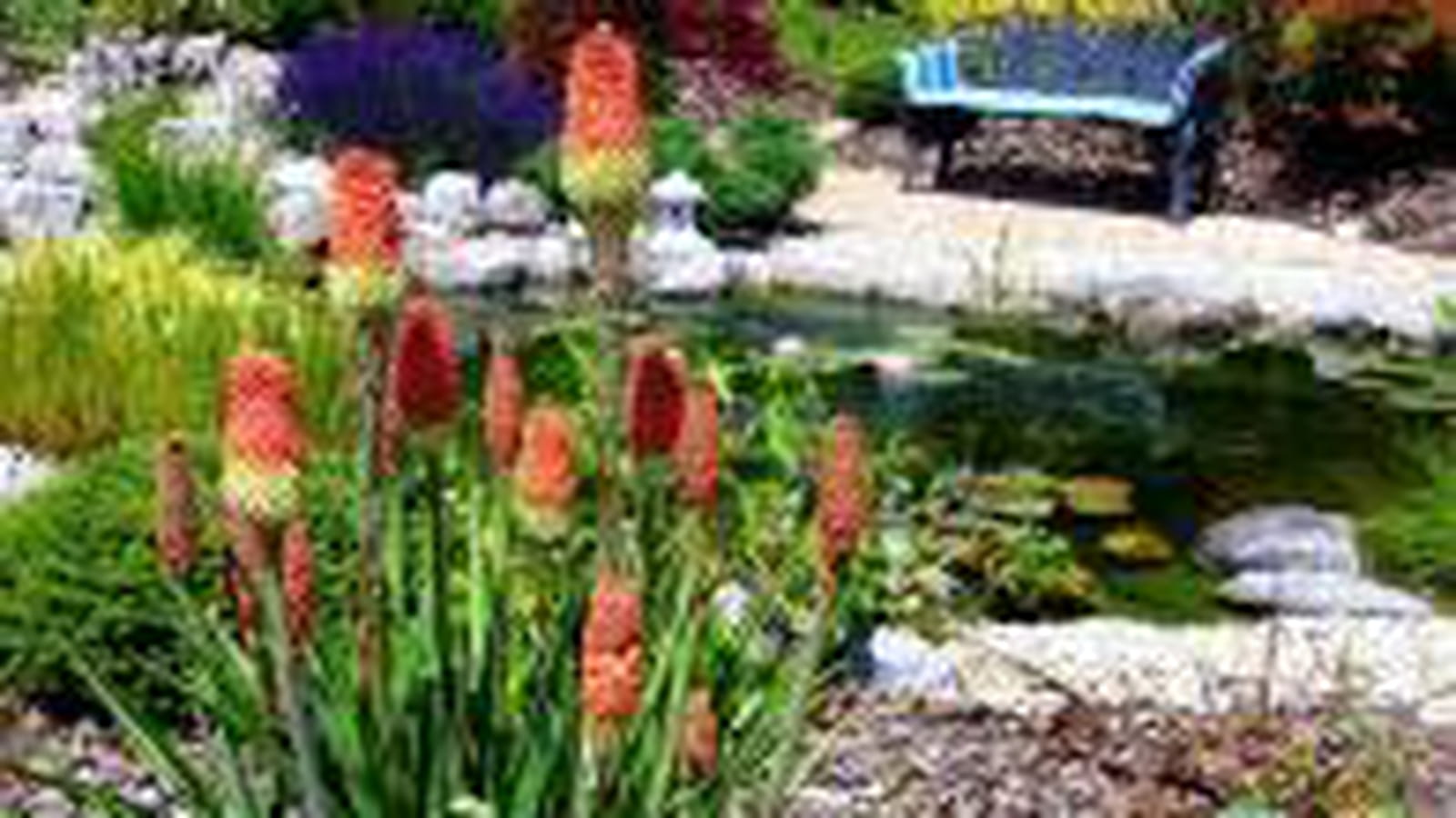 Couleurs