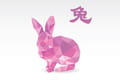 Horoscope Chat ou Lapin de la semaine prochaine