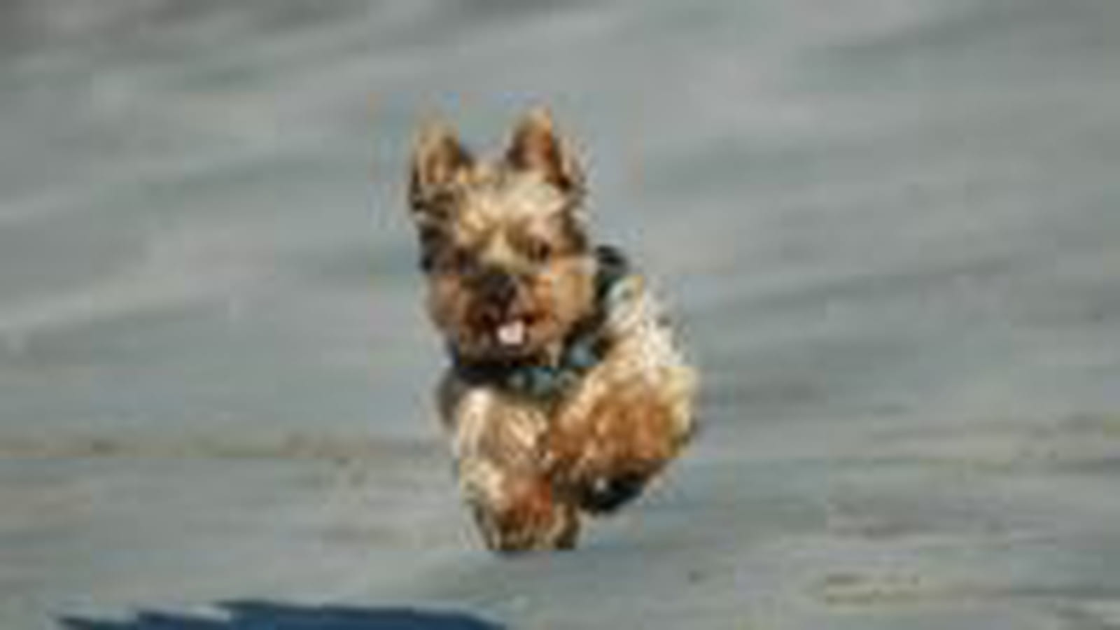 Olympe