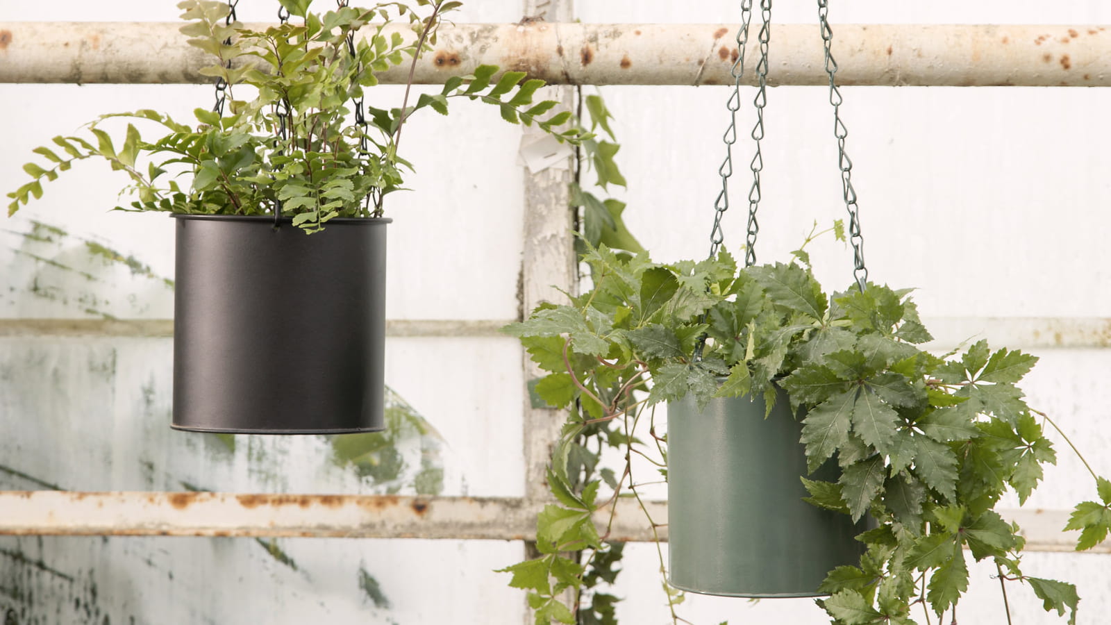 Pot de fleurs à suspendre Sostrene Grene
