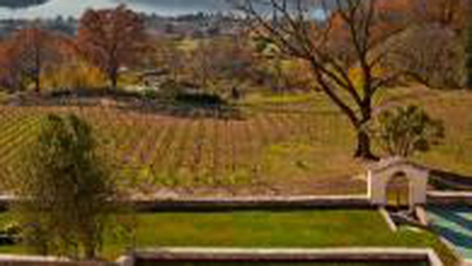 Vue sur la nature