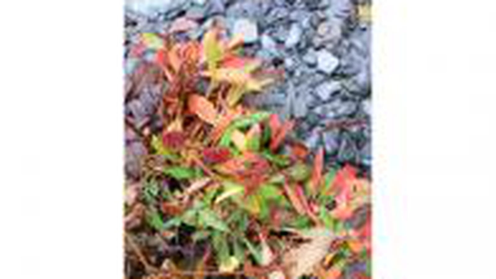 Mille et une couleurs