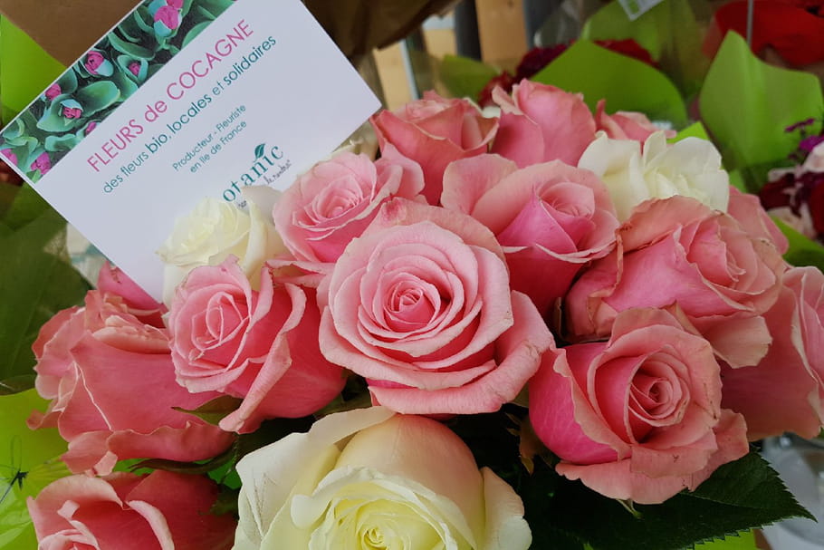 Chez Botanic, les roses se font bio pour la fête des mères