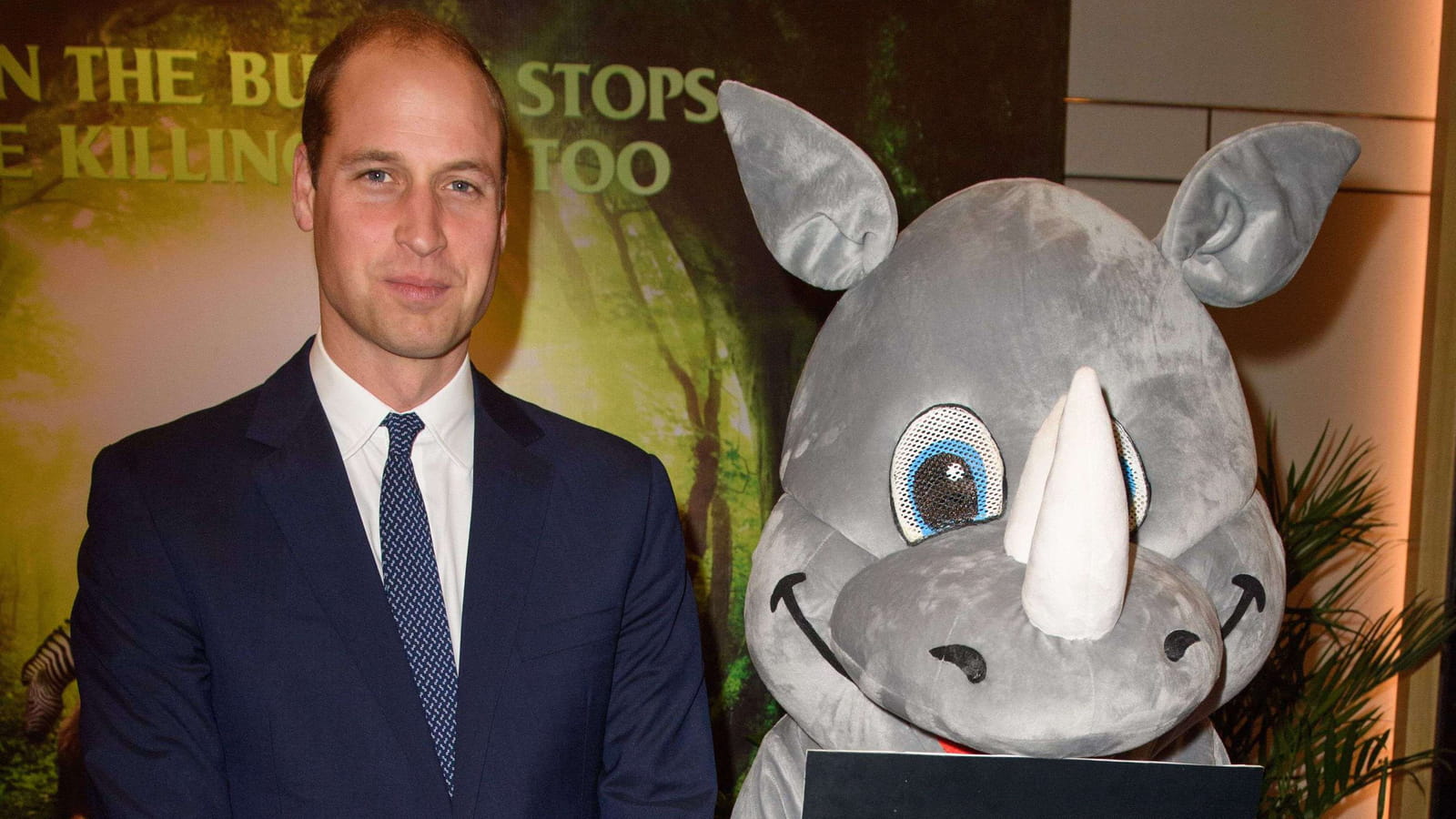 Le Prince William 