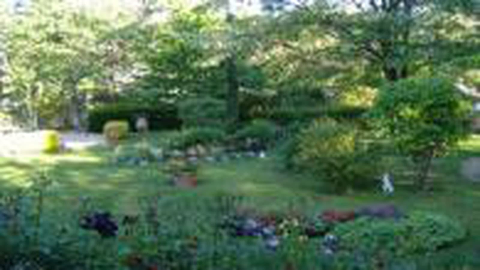 Dans le Var