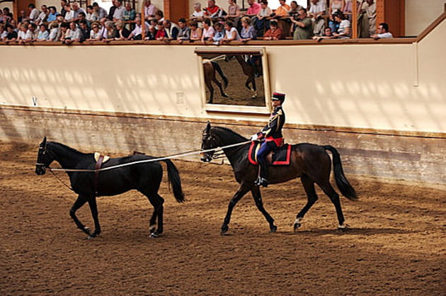 D&eacute;monstration de dressage