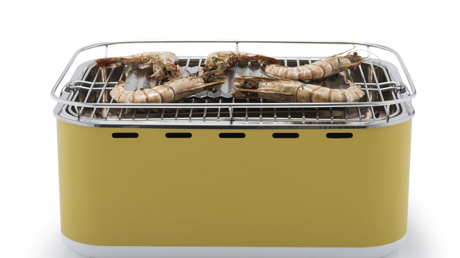 Barbecue nomade Barbecook