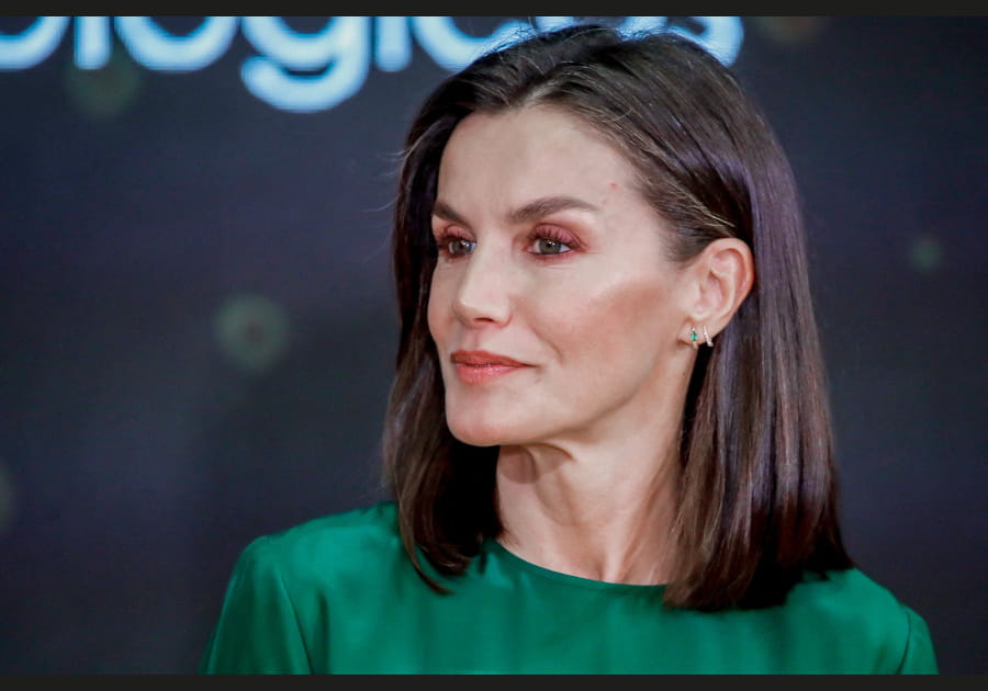 Top&nbsp;: le fard &agrave; paupi&egrave;res brique de Letizia d'Espagne